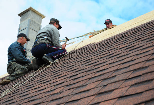 Quick and Trustworthy Emergency Roof Repair Services in Muncy, PA